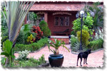 Cassia Cottage Pool