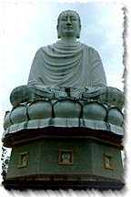 The Buddha at Long Son Pagoda
