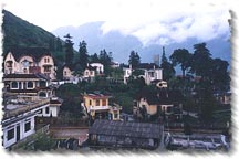 Sapa